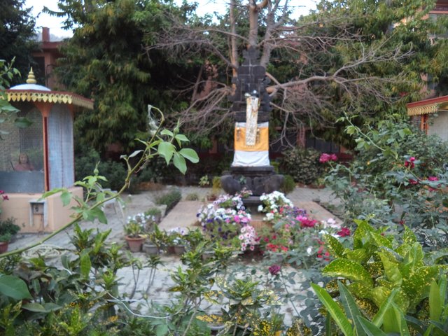 DSC01028.JPG