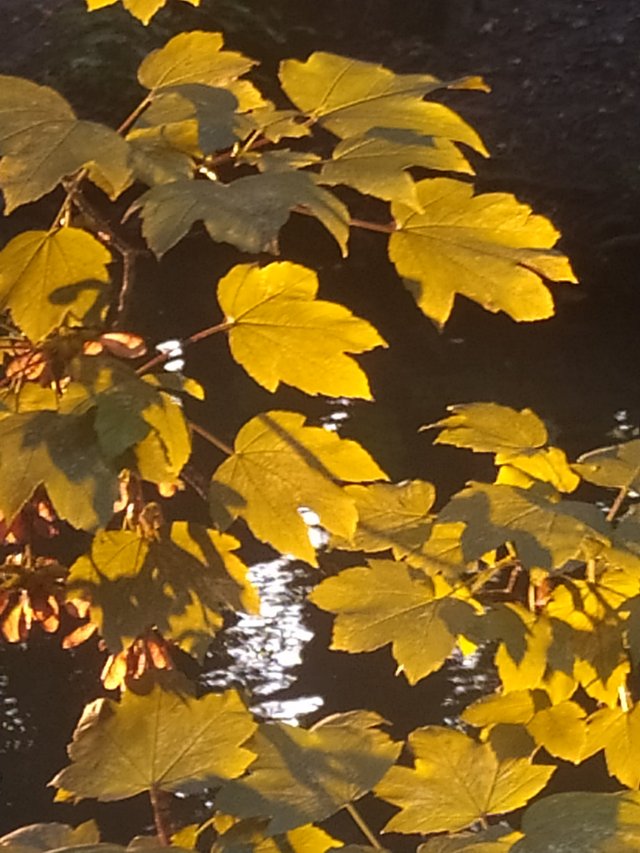 IMG_20250810_202339.jpg