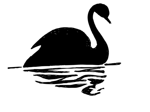 Pixabay - Bitcoin to 1 Dollar black - swan-160627_1280.png