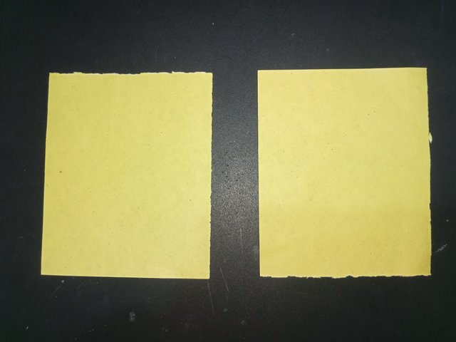 1000031863.jpg
