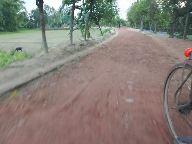 4092.jpg