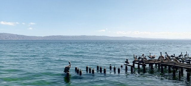 IMG_20250416_091522_209.jpg