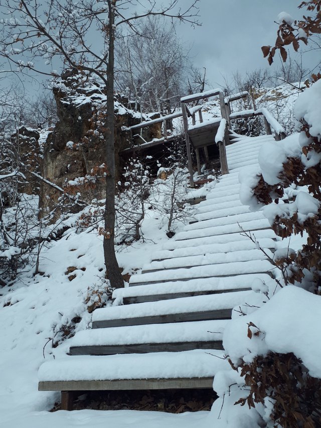 20190213_125453.jpg