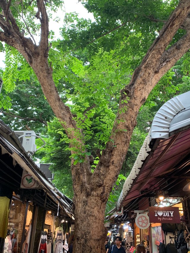 Chatuchak Weekend Market9.jpg