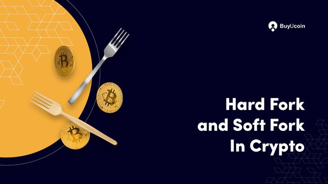 Difference-Between-Hard-Fork-and-Soft-Fork-In-Cryptocurrency.jpg