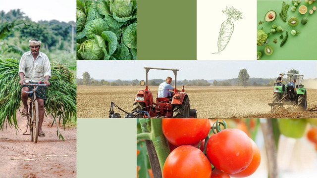 Cream and Green Organic Vegetable Farming YouTube Thumbnail_20250816_232103_0000.png