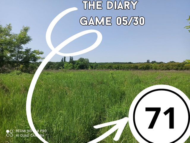 The DIary Game, копия, копия, копия (47).png