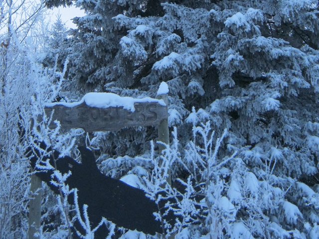 snow and frost on the Porters homestead sign.JPG