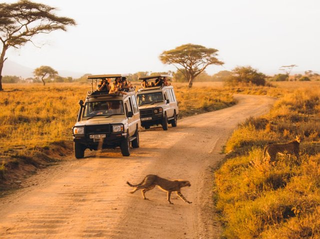 Top 10 Rated Tanzania Trip Packages Now.jpg