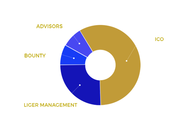 token allocation.png