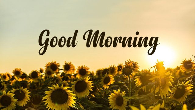 Good-Morning-1280x720.jpg