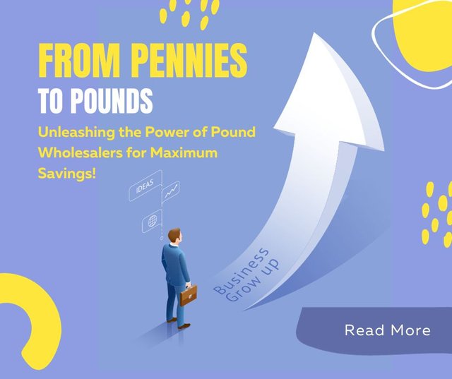 From Pennies to Pounds Unleashing the Power of Pound Wholesalers for Maximum Savings!.jpg