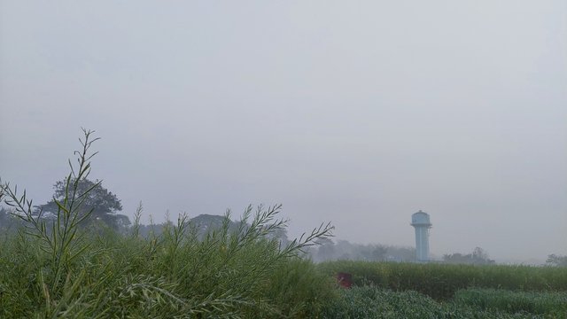 20220129_063022.jpg