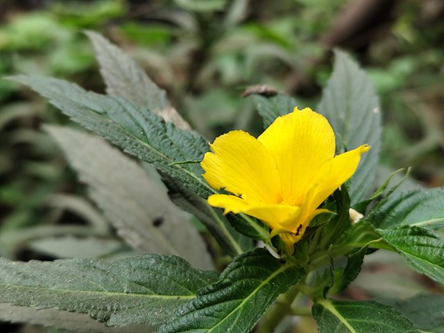 IMG_20250401_120213.jpg
