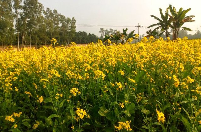 Screenshot_20250807-213924.jpg