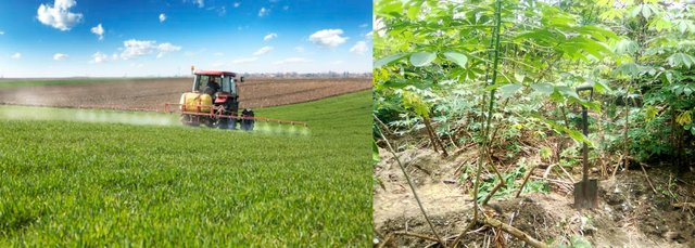Mechanized and manual farming.jpg