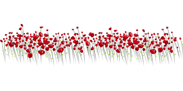 flowers-2755297__340.png