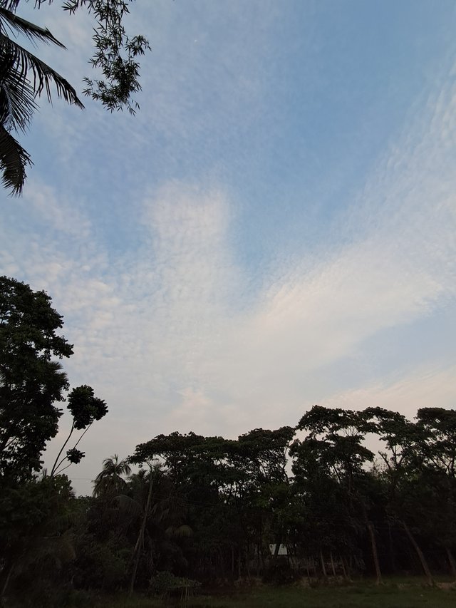 20250404_172659.jpg