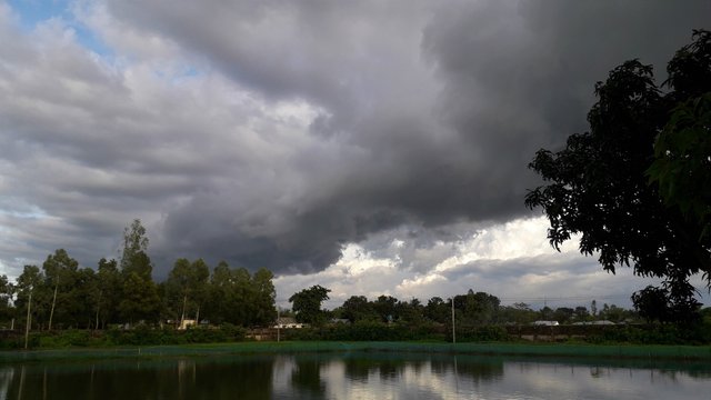 20200805_175658.jpg