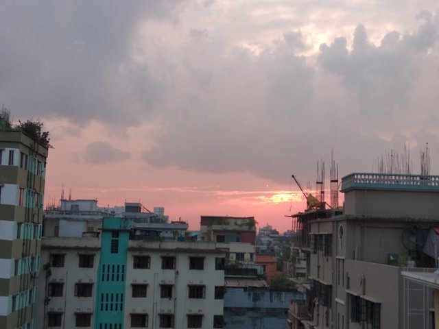 IMG_20250410_174741.jpg