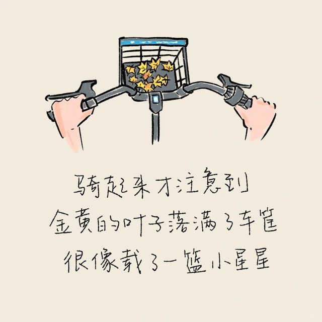 82｜12.9 晴 很好的季节里很好的一天_2_grooki_来自小红书网页版.jpg