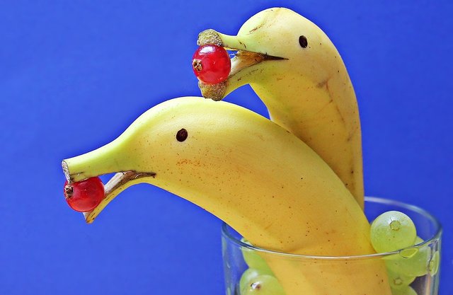 delfin-bananas-1737836_960_720.jpg