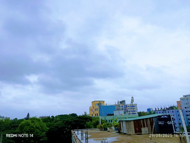 IMG_20250529_161542.jpg