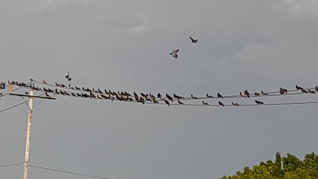 20250901_171940.jpg