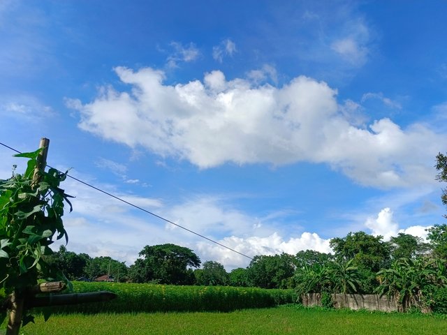 1000095878.jpg