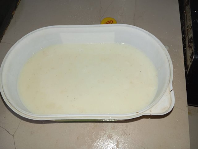 1000081883.jpg