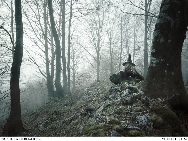misty forest - by priscilla Hernandez (yidneth.com).jpg