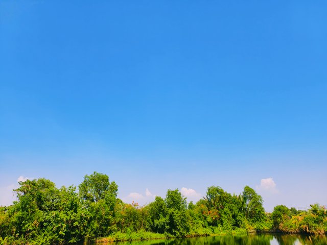 IMG_20250423_235528.jpg