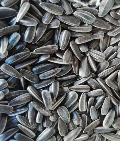 sunflower-seeds-286-w410.jpg