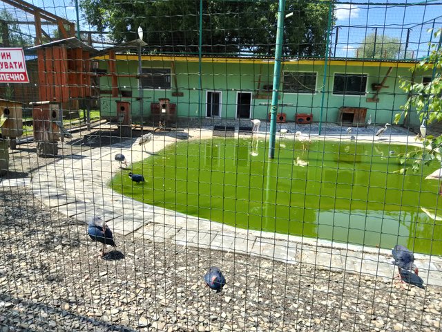 IMG_20250615_130647.jpg