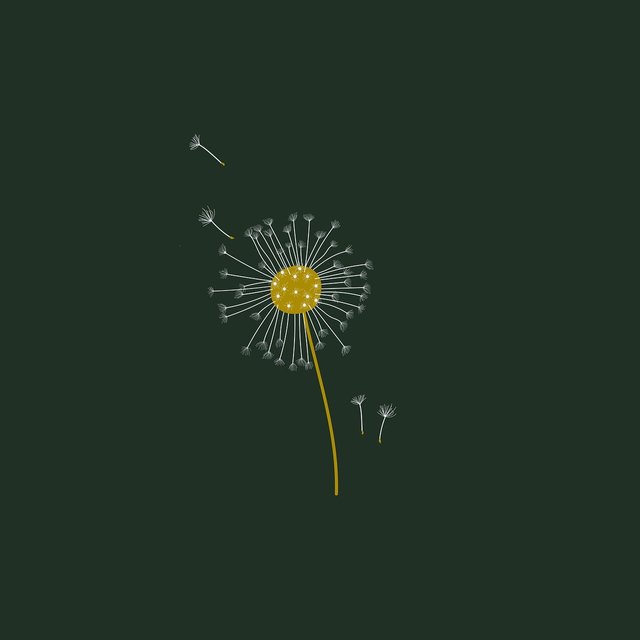 dandelion-8708275_1280.jpg