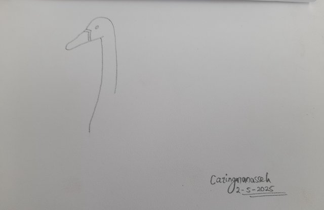 20250501_165821.jpg