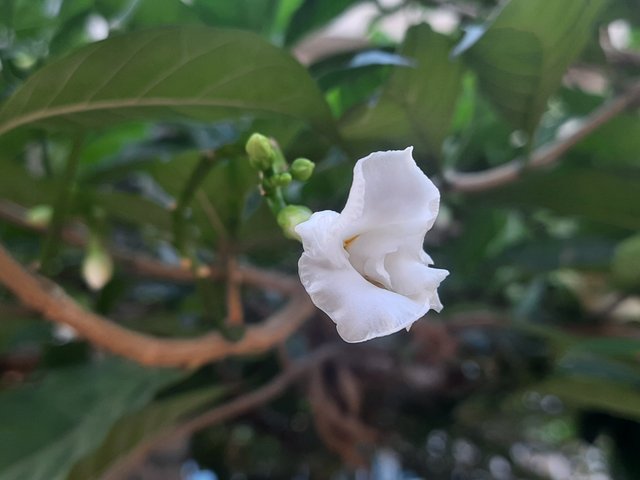 20230623_173331.jpg