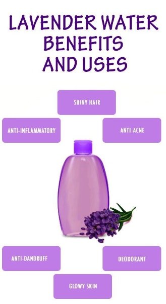 lavender hydrosol benefits and uses.jpg