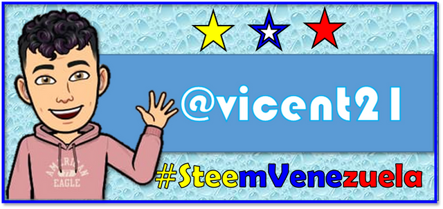 firma vicent21 STEEM VENEZUELA 2.png