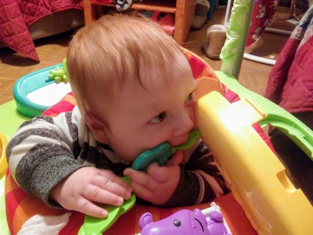 maverick eating his jumper4.jpg