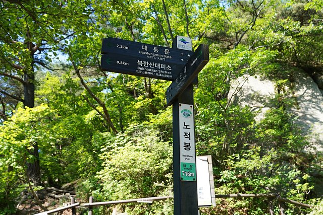 b-DSC04415.JPG