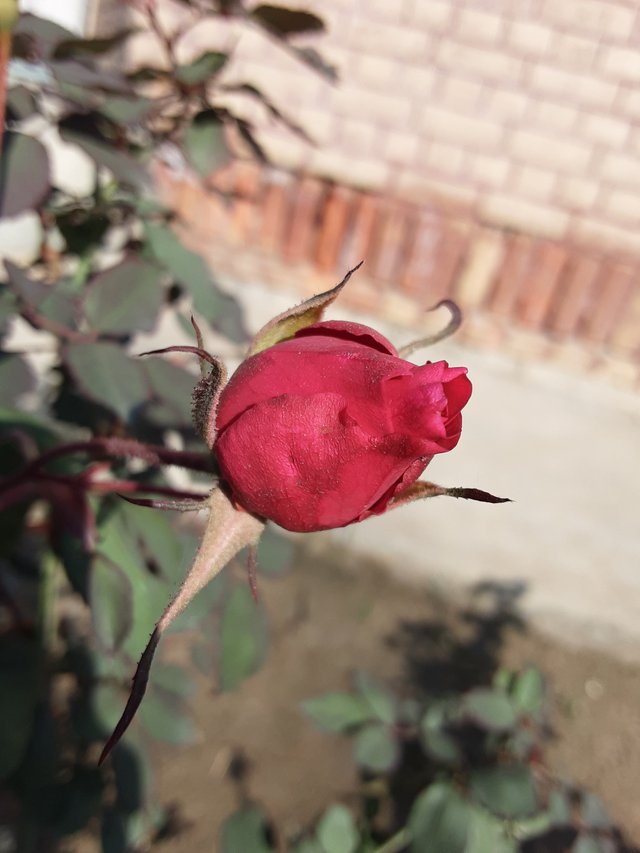 20250109_101144.jpg