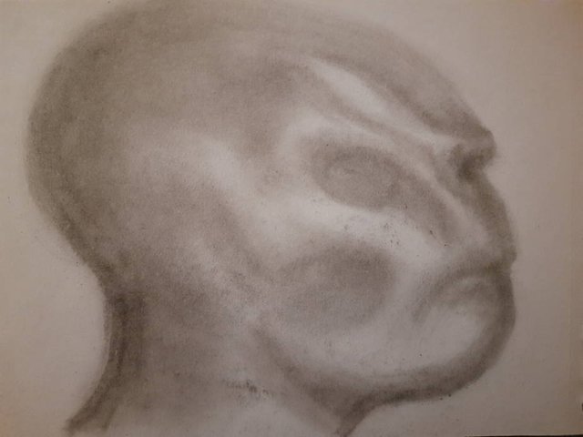 20250517_110303.jpg