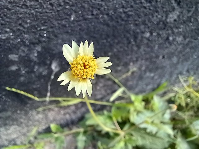 20251015_082051.jpg