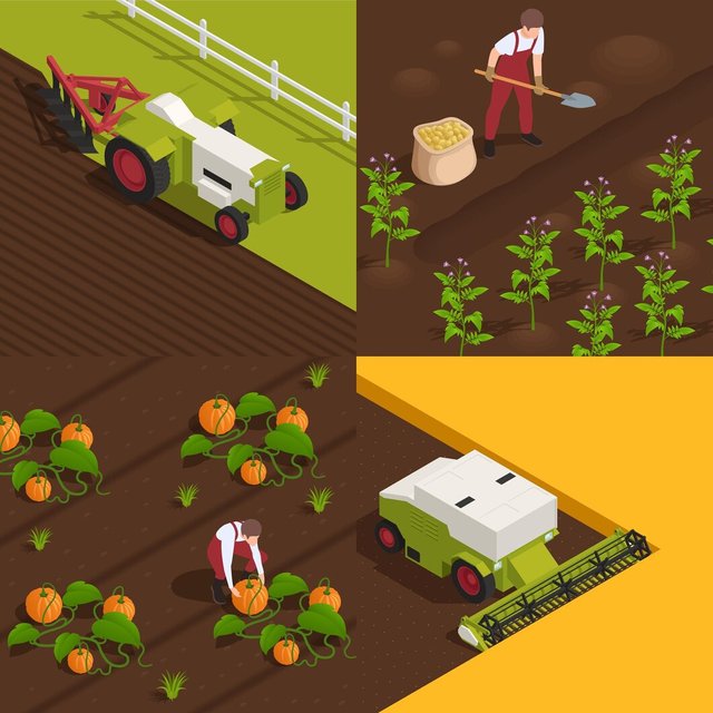 harvesting-concept-4-isometric-compositions-with-farm-workers_1284-55170.jpg