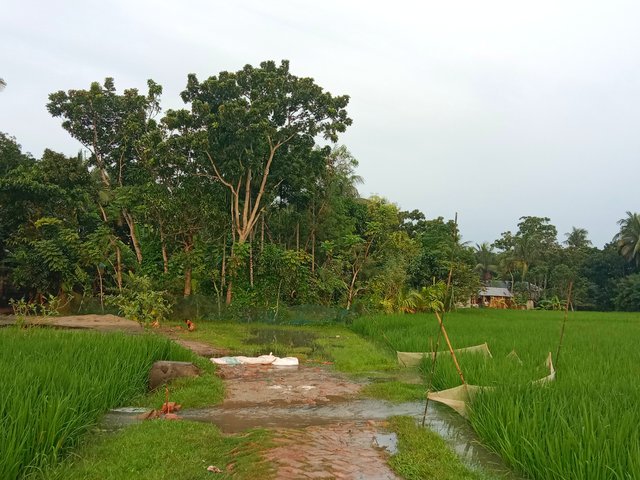 IMG_20250919_183109.jpg