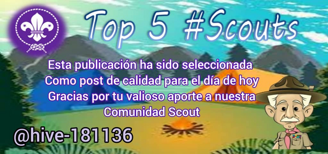 Scouts Pin top 5 scouts.png