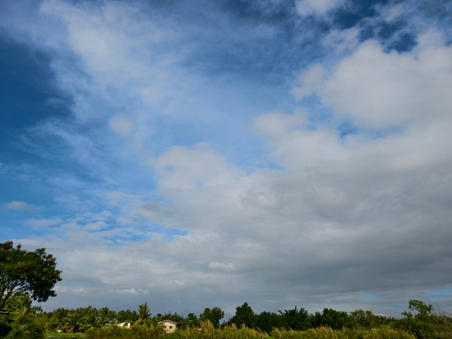 IMG_20250317_082027 (1).jpg