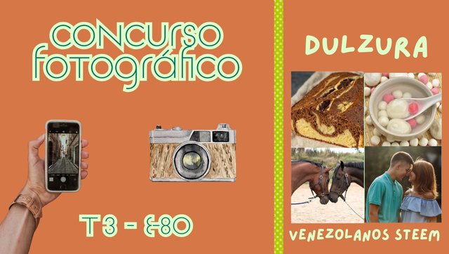 Concurso fotográfico (61).jpg