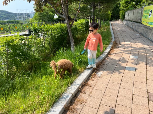 IMG_2785.jpeg